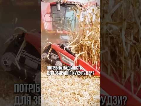 🔧 Потрібна надійність під час збирання кукурудзи? Обирай запчастини PALCHE