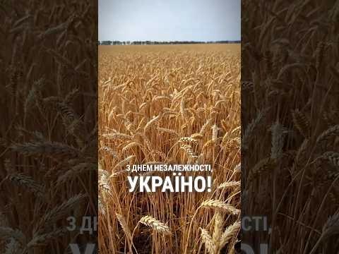 Незалежність — це те, за що ми боремося. І те, що бережемо щодня.
