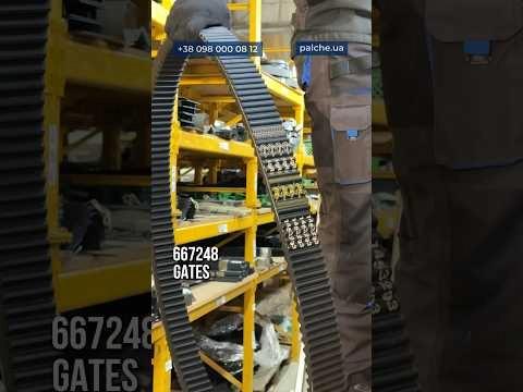 Сьогодні показуємо паси для варіатора барабана LEXION