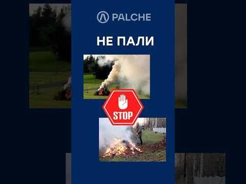 Не паліть — переробляйте! ⠀ Гілки — це не відходи, а ресурс ✅ Подрібнювач PL-120 від PALCHE — надійне рішення для екології та вашого бізнесу✔️